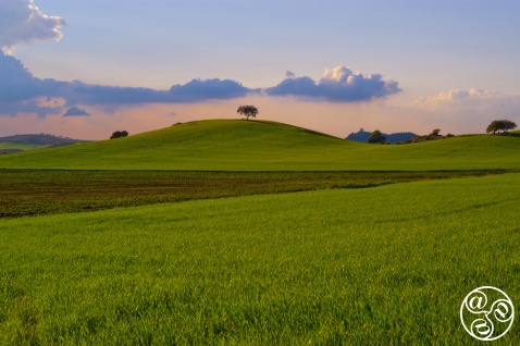 Velvet rolling hills just south of Seville © Michelle Chaplow