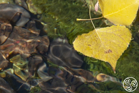 Crystal clear waters, the source of the River Genal. © Michelle Chaplow