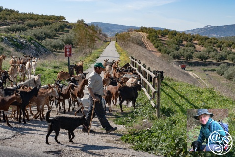 Walking in Andalucia by Guy Hunter Watts main photo @ Michelle Chaplow