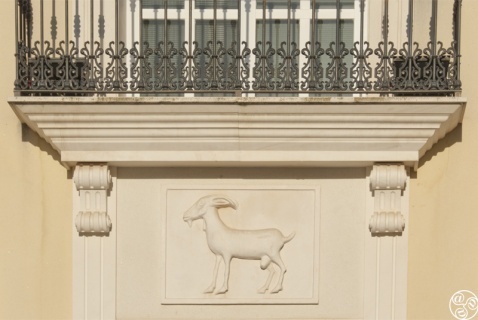 Cabra Andalucia © Michelle Chaplow