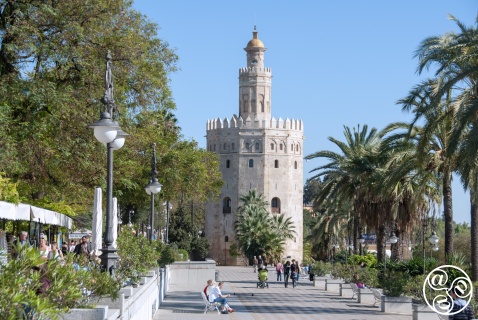 The Torre del Oro (Golden Tower), which dominates the banks of the river Guadalquivir. © Michelle Chaplow