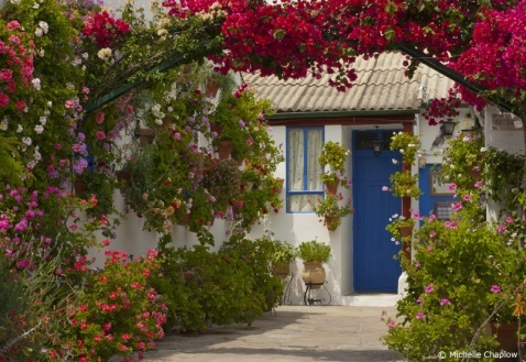 The superb may patio festival in Cordoba.  © Michelle Chaplow