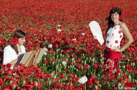 Painters and photographers have long commented on the marvelous clear light 