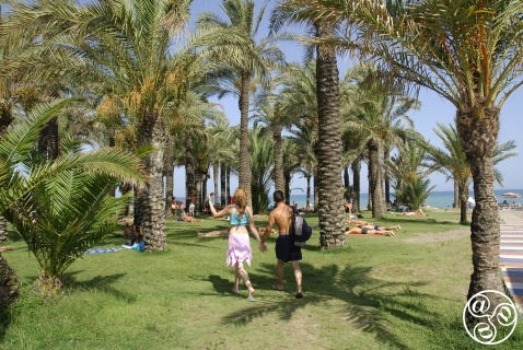 Gardens in Torremolinos © Michelle Chaplow