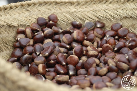 Chestnuts from Pujerra Chestnuts from Pujerra