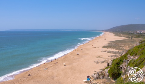 Stunning beachscape in Zahara de los Atunes, featuring golden sands and turquoise waters, perfect for a serene escape on the Costa de la Luz © Michelle Chaplow