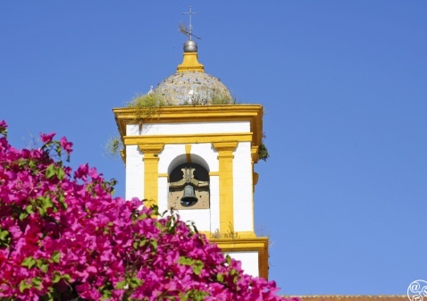 The bell tower in Chiclana © Michelle Chaplow