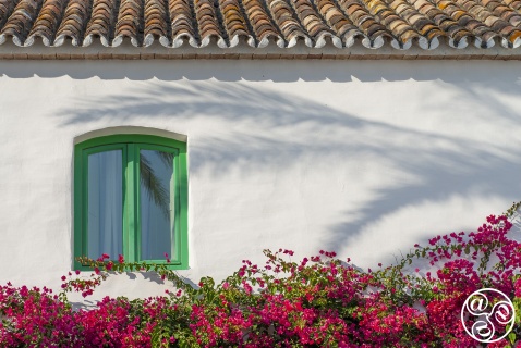 The charm of living in the sundrenced Andalucian countryside © Michelle Chaplow