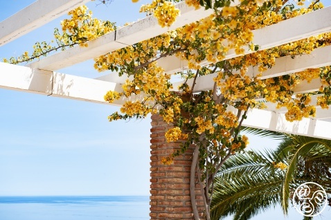 Meiterranean Life in Maro © Michelle Chaplow