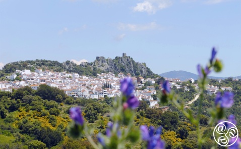What's on in the whoite village of Gaucín © Michelle Chaplow