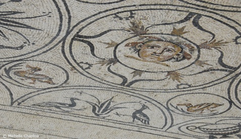 Medusa at Rio Verde Villa  © Michelle Chaplow