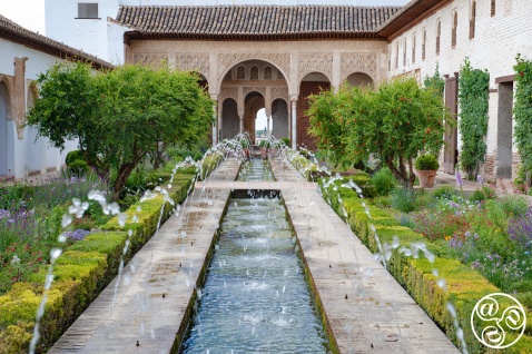 Generalife Gardens © Michelle Chaplow