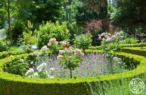 Back lighting splendor in the Generalife gardens © Michelle Chaplow