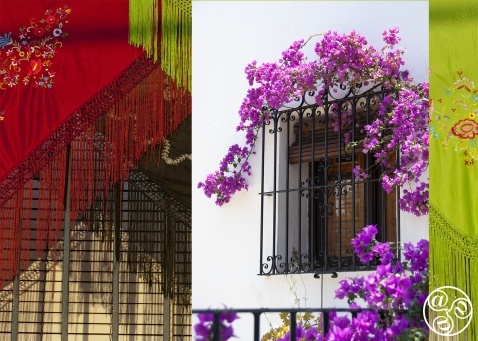 Admiring the Balconies of Benamahoma Strolling around the quaint streets of this white village can be a floral feast for the eyes © Michelle Chaplow