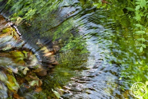 The crystal clear waters of 'El Nacimiento' spring The crystal clear waters of 'El Nacimiento' spring © Michelle Chaplow