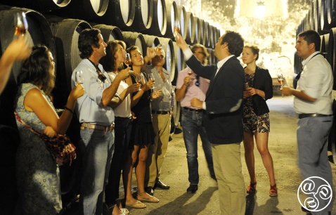 Bodega tours in Andalucia © Michelle Chaplow