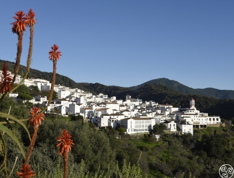 Genalguacil village  © Michelle Chaplow