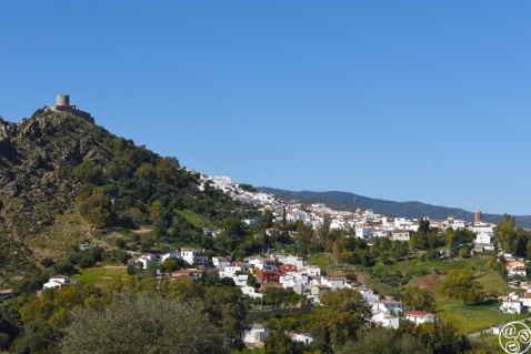  Jimena © Michelle Chaplow