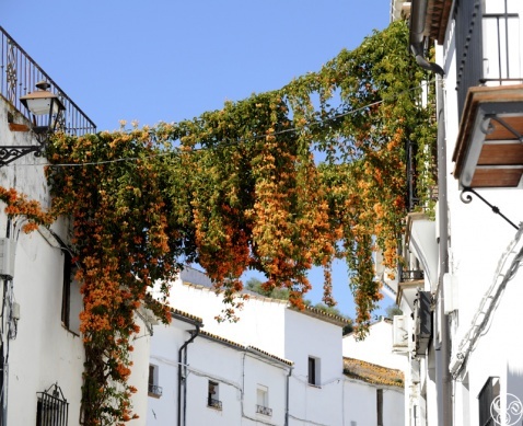 The White village of Jimena © Michelle Chaplow