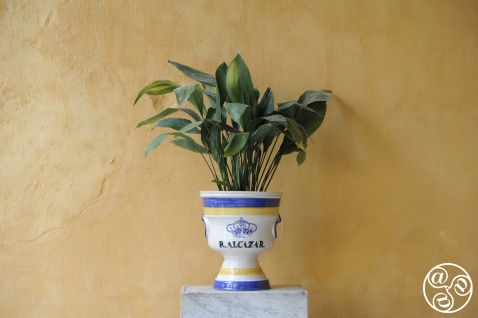 The Alcázar of Seville is known for its rich mix of architectural influences © Michelle Chaplow