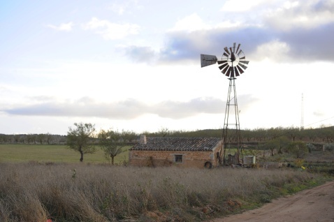 Wind driven water pump near  Cúllar Vega © Michelle Chaplow