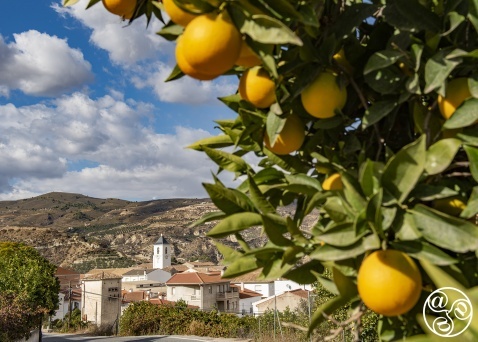 The white village of Restábal in the Lecrin Valley © Michelle Chaplow