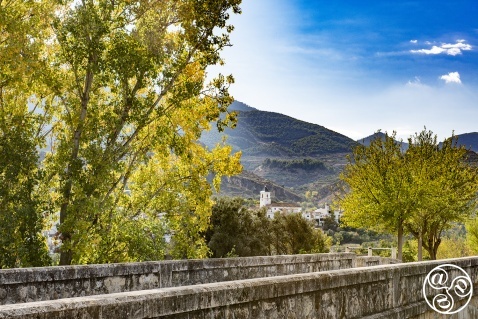  Restábal, from the historic stone bridge on the río Torrente © Moichelle Chaplow