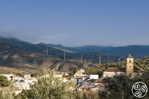 Pinos del Valle © Michelle Chaplow