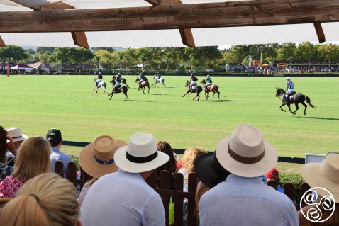 Polo in Sotogrande  © Michelle Chaplow