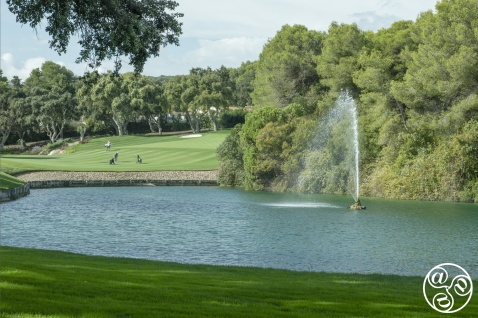 Serene view at Valderrama Golf Course, framed by ancient cork oak trees with a sparkling lake and fountain © Michelle Chaplow