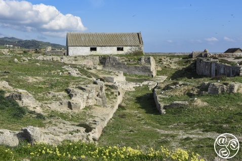 Walking across the island you will see ruins of a bygone age Walking across the island you will see ruins of a bygone age © Michelle Chaplow