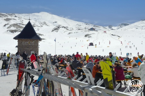 News from The Sierra Nevada © Michelle Chaplow