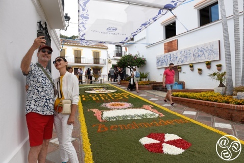 The carpets of petals are so attractive © Michelle Chaplow