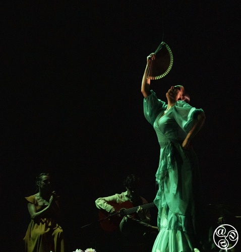 And for some entertainment pulsating with passion and yearning, it has to be flamenco © Michelle Chaplow And for some entertainment pulsating with passion and yearning, it has to be flamenco © Michelle Chaplow