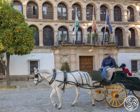 Plaza Duquesa de Parcent Ronda  © Michelle Chaplow