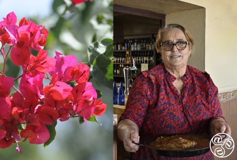 Doña Manuela with her famous arroz con polloat Restaurant Castillo © Michelle Chaplow Doña Manuela with her famous arroz con polloat Restaurant Castillo © Michelle Chaplow