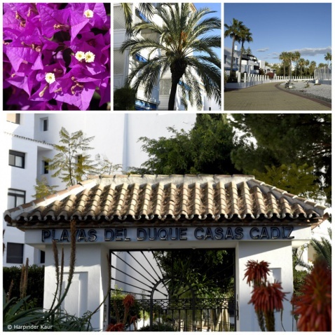 A relaxing day in Playas Del Duque © Harpinder Kaur