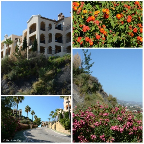 Ronda Road districts in Marbella. © Harpinder Kaur