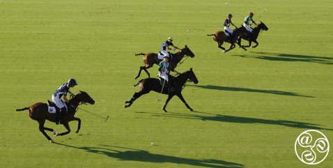Polo at Los Pinos fields © Michelle Chaplow