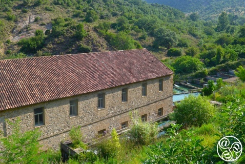 The old trout farm can be seen just below the spring, on the way to the village pool The old trout farm can be seen just below the spring, on the way to the village pool
