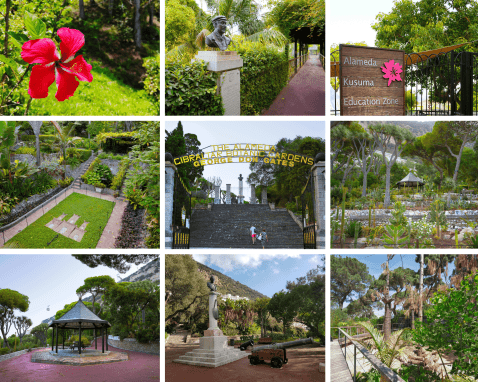 Alameda Botanical Gardens by VisitGibraltar.gi and Haylee Pincho