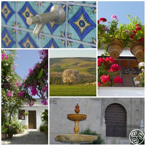 Granada province clockwise: Granada, Bubion, Baza, Salobreña and Alhama © Michelle Chaplow