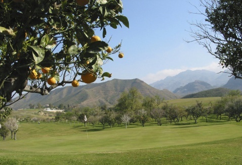 Cortijo Grande Golf Resort © Cortijo Grande Golf Resort