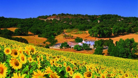 Hotel Cortijo Las Piletas © Booking.com