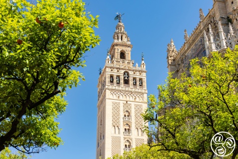 The magnificent Giralda tower of Seville Cathedral © istockphoto