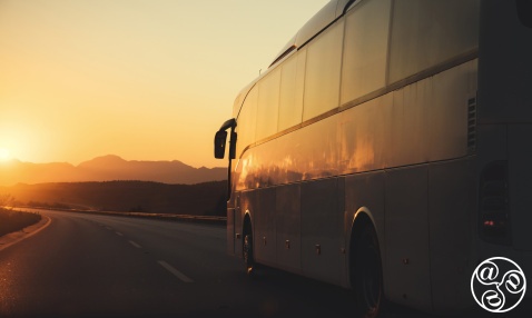 Exploring the Coast of Light (Costa de la Luz) by bus in Andalucía © Michelle Chaplow