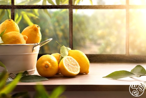 Spanish lemons © Michelle Chaplow