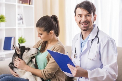 At the vets © iStock