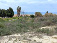 MAGNIFICO TERRENO URBANIZABLE CON VISTAS AL MAR. Manilva Costa.