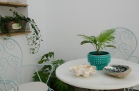 Casa "Tata Lily" Tarifa. VFT/CA/02337